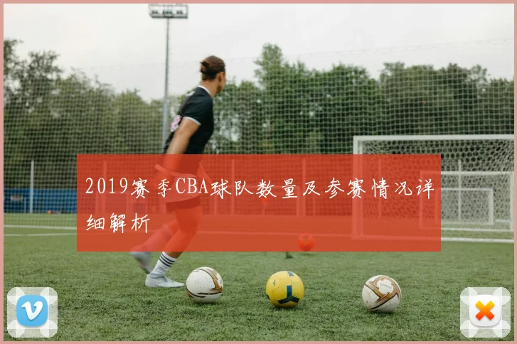 2019赛季CBA球队数量及参赛情况详细解析