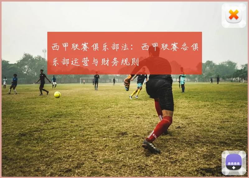 西甲联赛俱乐部法：西甲联赛各俱乐部运营与财务规则